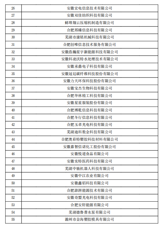 2022年第一批安徽省高新技術(shù)企業(yè)認定名單