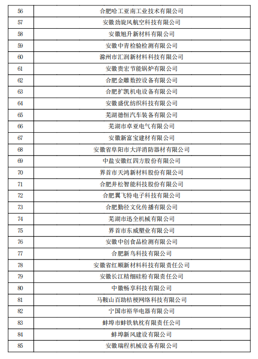 2022年第一批安徽省高新技術(shù)企業(yè)認定名單